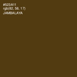 #523A11 - Jambalaya Color Image