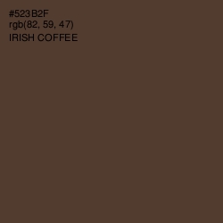 #523B2F - Irish Coffee Color Image