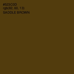 #523C0D - Saddle Brown Color Image