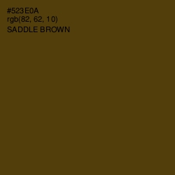 #523E0A - Saddle Brown Color Image