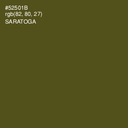 #52501B - Saratoga Color Image