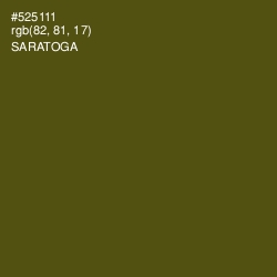 #525111 - Saratoga Color Image