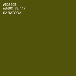 #52530B - Saratoga Color Image