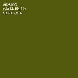 #52590D - Saratoga Color Image