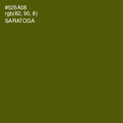 #525A08 - Saratoga Color Image