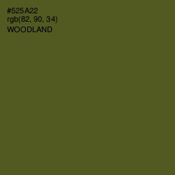 #525A22 - Woodland Color Image