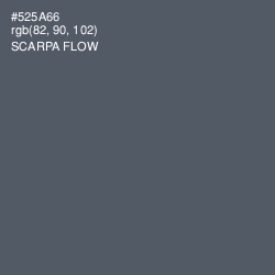 #525A66 - Scarpa Flow Color Image