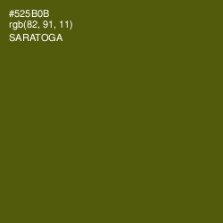 #525B0B - Saratoga Color Image