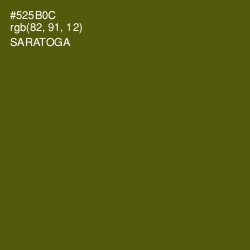 #525B0C - Saratoga Color Image