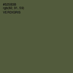 #525B3B - Verdigris Color Image