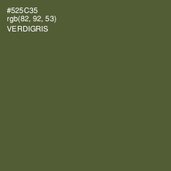 #525C35 - Verdigris Color Image