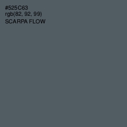 #525C63 - Scarpa Flow Color Image