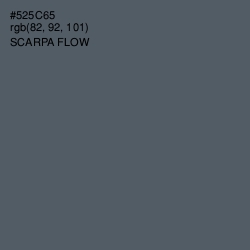 #525C65 - Scarpa Flow Color Image