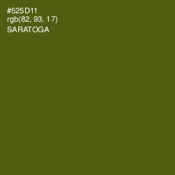 #525D11 - Saratoga Color Image