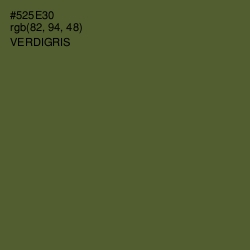 #525E30 - Verdigris Color Image