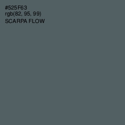 #525F63 - Scarpa Flow Color Image