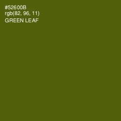 #52600B - Green Leaf Color Image