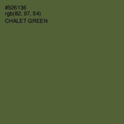 #526136 - Chalet Green Color Image