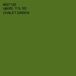 #527120 - Chalet Green Color Image