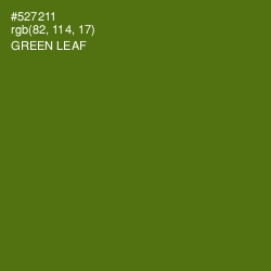 #527211 - Green Leaf Color Image