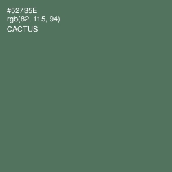 #52735E - Cactus Color Image