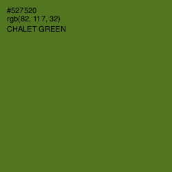 #527520 - Chalet Green Color Image