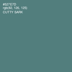 #527E7D - Cutty Sark Color Image