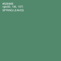 #52886B - Spring Leaves Color Image