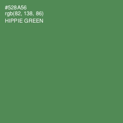 #528A56 - Hippie Green Color Image