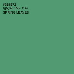 #529B72 - Spring Leaves Color Image