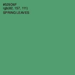 #529D6F - Spring Leaves Color Image