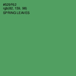 #529F62 - Spring Leaves Color Image