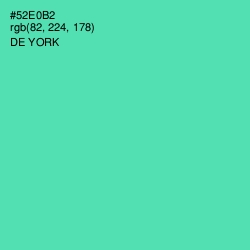 #52E0B2 - De York Color Image