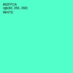#52FFCA - Aquamarine Color Image