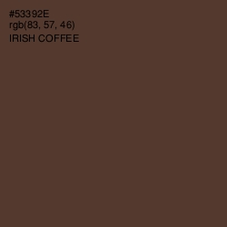#53392E - Irish Coffee Color Image