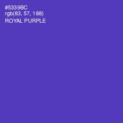 #5339BC - Royal Purple Color Image
