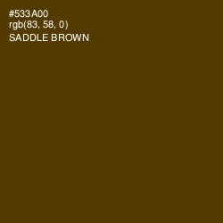 #533A00 - Saddle Brown Color Image