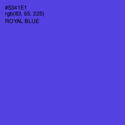 #5341E1 - Royal Blue Color Image