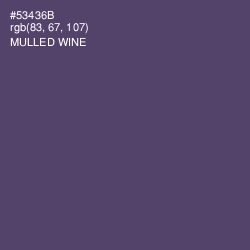 #53436B - Mulled Wine Color Image