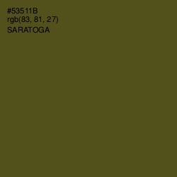 #53511B - Saratoga Color Image