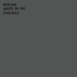 #535454 - Chicago Color Image