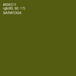 #535C11 - Saratoga Color Image