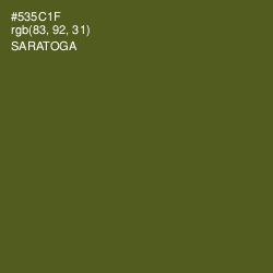 #535C1F - Saratoga Color Image