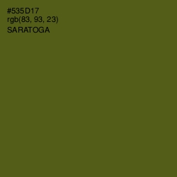 #535D17 - Saratoga Color Image