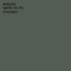 #535D54 - Chicago Color Image