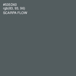 #535D60 - Scarpa Flow Color Image