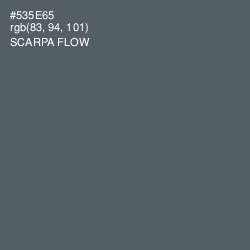 #535E65 - Scarpa Flow Color Image