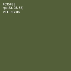 #535F38 - Verdigris Color Image