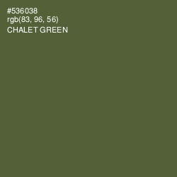 #536038 - Chalet Green Color Image