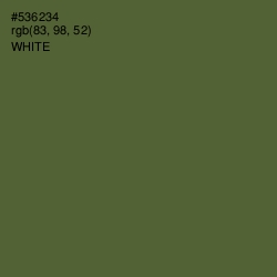 #536234 - Chalet Green Color Image